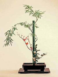 Ikebana: The Art of Arranging Flowers