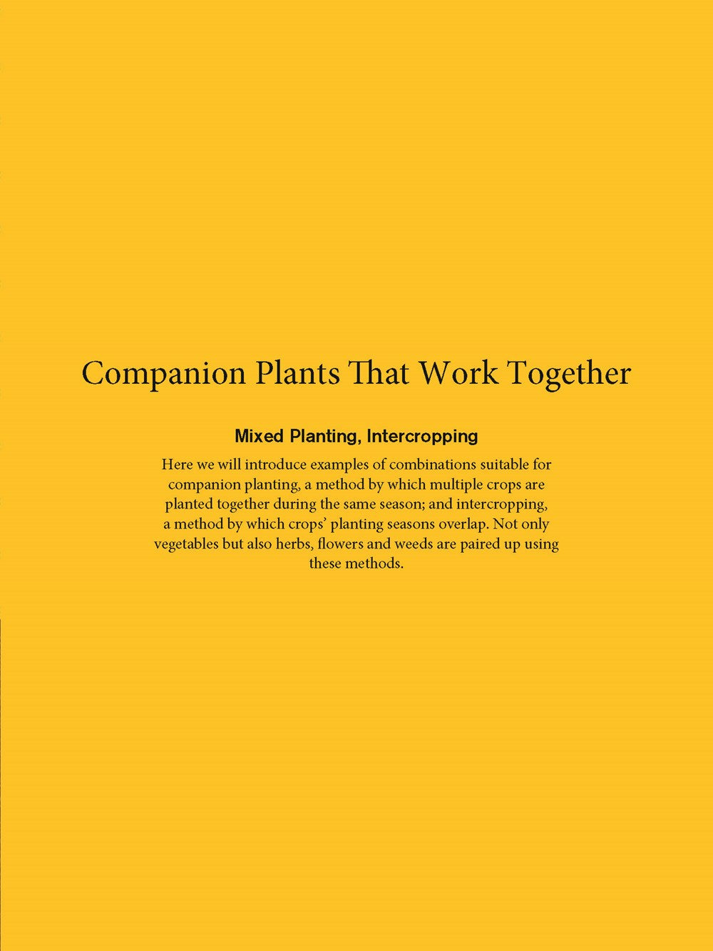 Japanese Style Companion Planting