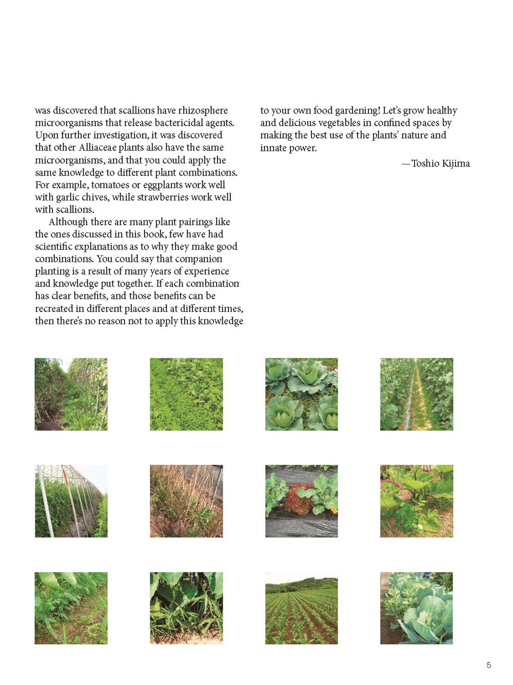 Japanese Style Companion Planting