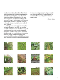 Japanese Style Companion Planting