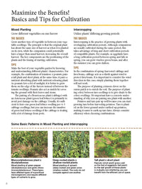 Japanese Style Companion Planting