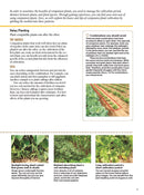 Japanese Style Companion Planting