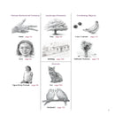 The Complete Guide to Drawing for Beginners