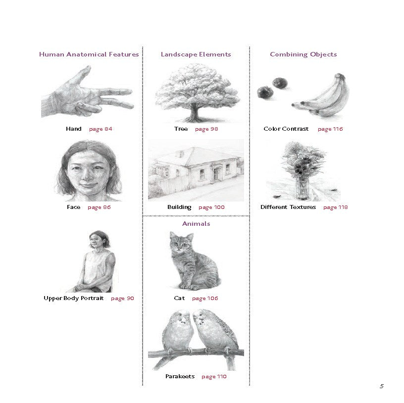 The Complete Guide to Drawing for Beginners