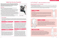 How to Draw Manga Furries