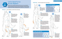 How to Draw Manga Furries