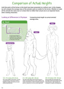 How to Draw Manga Furries