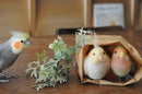 Cute Birds to Make with Needle Felting