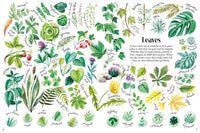 Shapes and Patterns in Nature