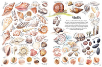 Shapes and Patterns in Nature