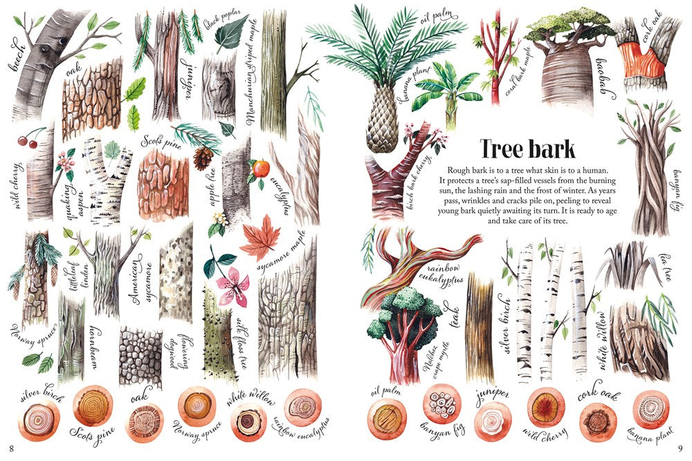 Shapes and Patterns in Nature