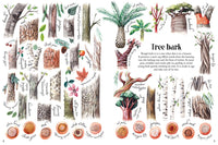 Shapes and Patterns in Nature