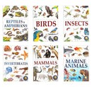 Animals: Collection of 6 Books: Knowledge Encyclopedia For Children (Box Set)