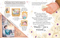 Pocket Potters: Harry Potter (Little Guides to the Harry Potter Books #1)