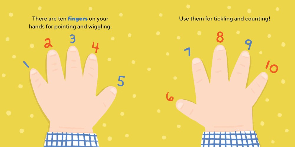 Eyes, Nose, Belly, Toes