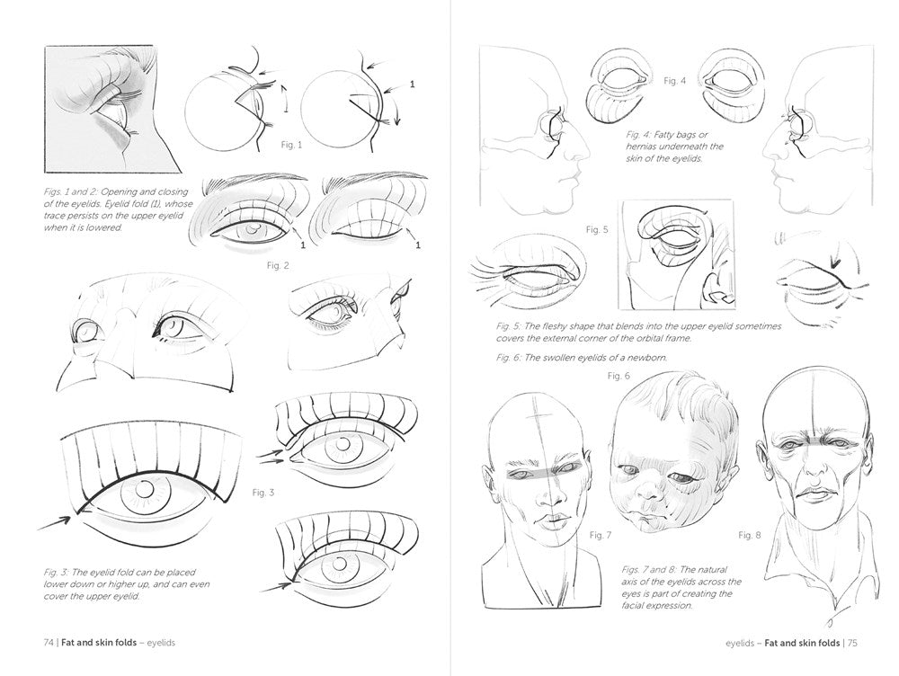 Morpho: Face, Head, and Neck: Anatomy for Artists (Morpho: Anatomy for Artists, 10)