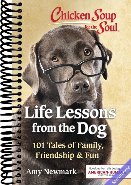 Chicken Soup for the Soul: Life Lessons from the Dog: 101 Tales of Family, Friendship & Fun