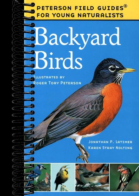 Backyard Birds