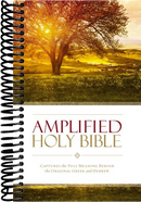 Amplified Holy Bible, Paperback: Captures the Full Meaning Behind the Original Greek and Hebrew