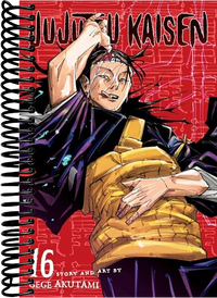 Jujutsu Kaisen, Vol. 16