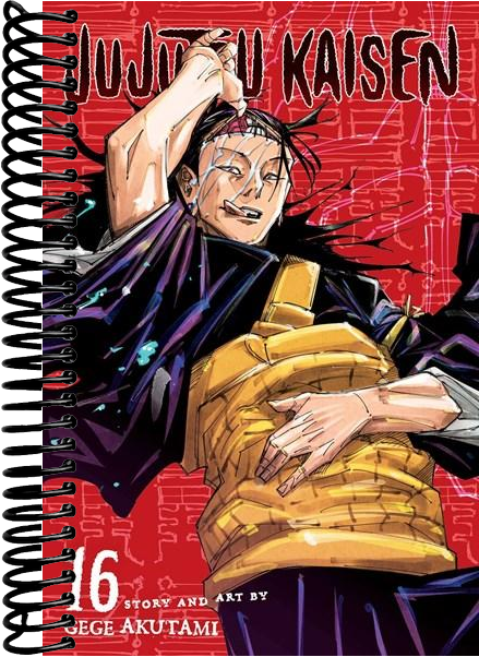 Jujutsu Kaisen, Vol. 16