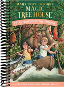 Afternoon on the Amazon