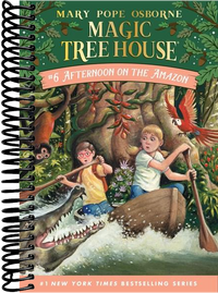 Afternoon on the Amazon