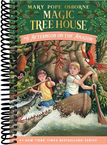 Afternoon on the Amazon