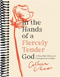 In the Hands of a Fiercely Tender God: 31 Days of Hope, Honesty, and Encouragement for the Sufferer