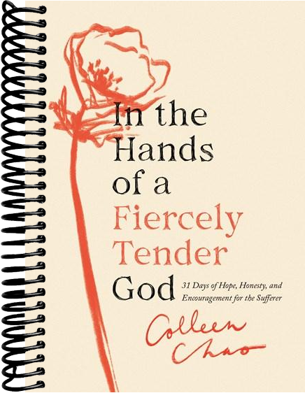 In the Hands of a Fiercely Tender God: 31 Days of Hope, Honesty, and Encouragement for the Sufferer