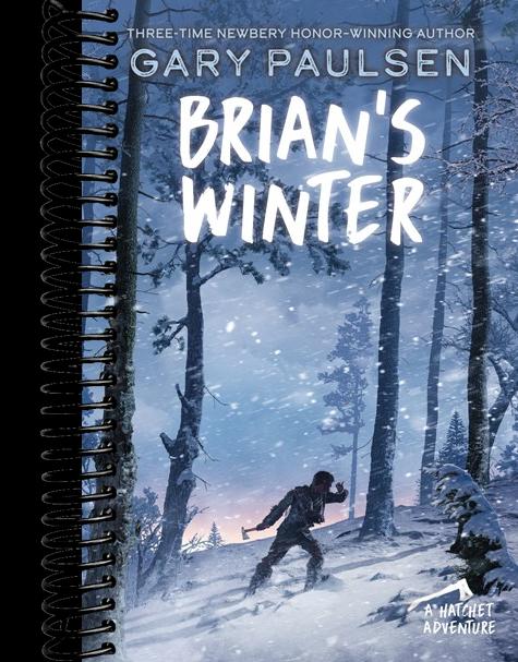 Brian's Winter