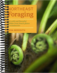 Northeast Foraging: 120 Wild and Flavorful Edibles from Beach Plums to Wineberries