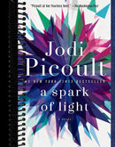 A Spark of Light: A Novel