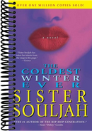 The Coldest Winter Ever: A Novel