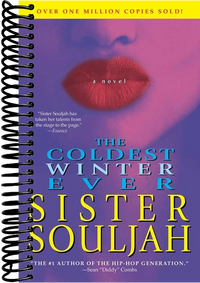The Coldest Winter Ever: A Novel