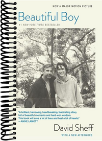 Beautiful Boy (tie-In): A Father's Journey Through His Son's Addiction