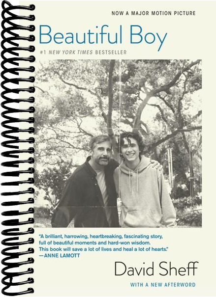 Beautiful Boy (tie-In): A Father's Journey Through His Son's Addiction