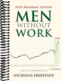 Men without Work: Post-Pandemic Edition (2022) (2nd Edition)