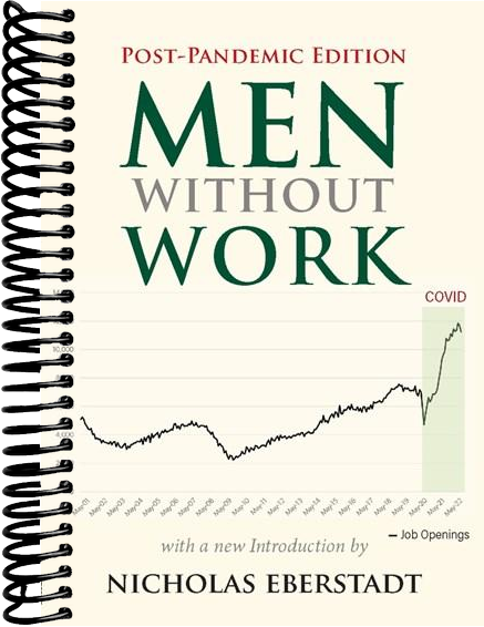 Men without Work: Post-Pandemic Edition (2022) (2nd Edition)
