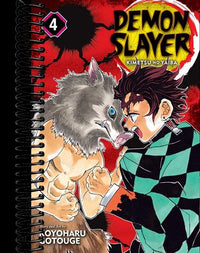 Demon Slayer: Kimetsu no Yaiba, Vol. 4 : Robust Blade