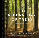 The Hidden Life of Trees: The Illustrated Edition