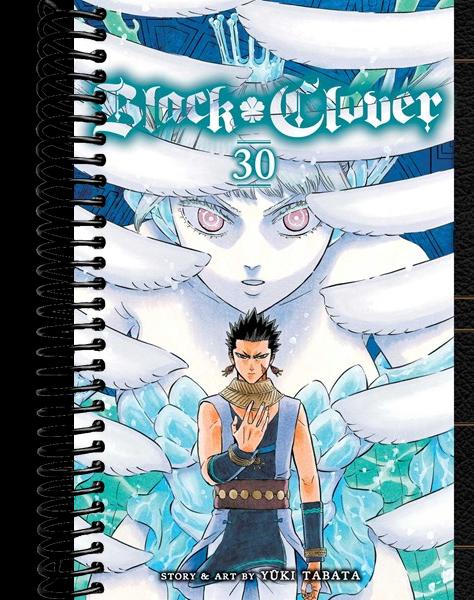 Black Clover, Vol. 30