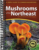 Mushrooms of the Northeast: A Simple Guide to Common Mushrooms