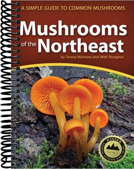 Mushrooms of the Northeast: A Simple Guide to Common Mushrooms