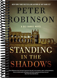 Standing in the Shadows: A Novel