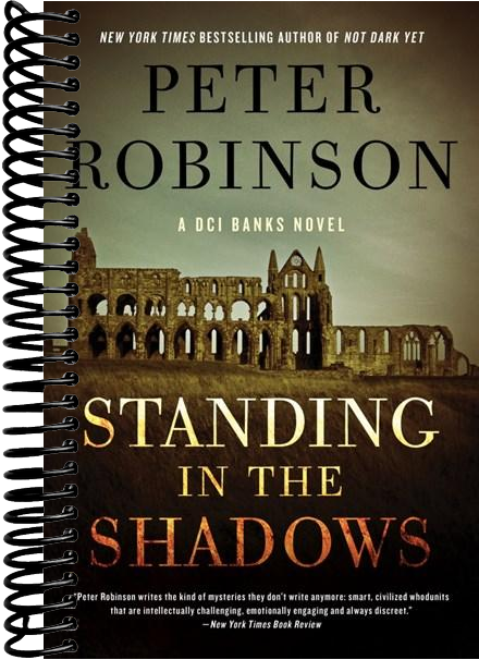Standing in the Shadows: A Novel