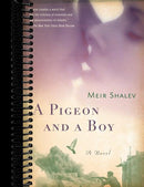 A Pigeon and a Boy: A Novel