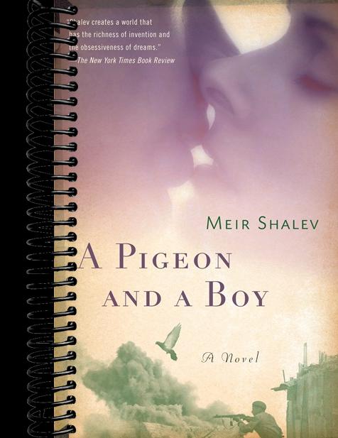 A Pigeon and a Boy: A Novel