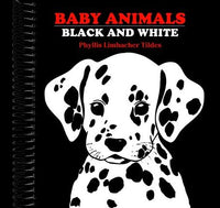 Baby Animals Black and White