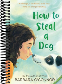 How to Steal a Dog: A Novel